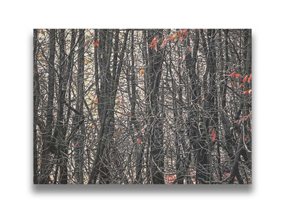 A photo of a dense thicket of branches in grayscale, with red spot color on the few leaves left on the branches. Printed on canvas.