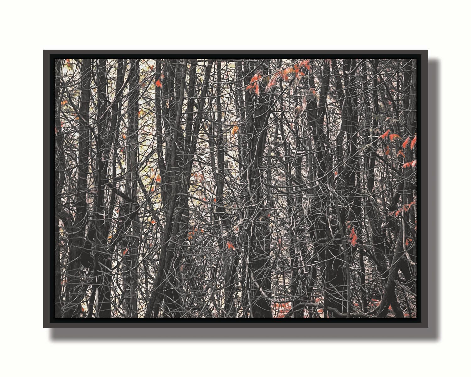 A photo of a dense thicket of branches in grayscale, with red spot color on the few leaves left on the branches. Printed on canvas in a float frame.