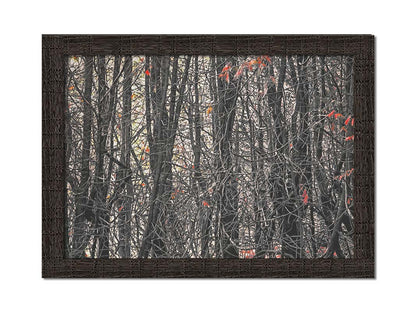 A photo of a dense thicket of branches in grayscale, with red spot color on the few leaves left on the branches. Printed on canvas and framed.