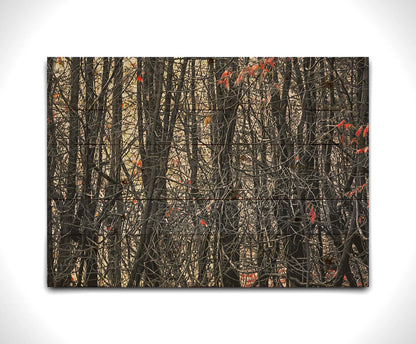 A photo of a dense thicket of branches in grayscale, with red spot color on the few leaves left on the branches. Printed on a wood pallet.