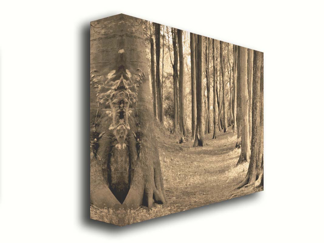 A sepia photo of a winding forest path. Printed on canvas.