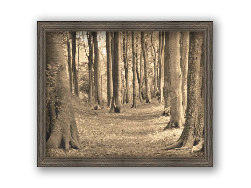 A sepia photo of a winding forest path. Printed on canvas and framed.