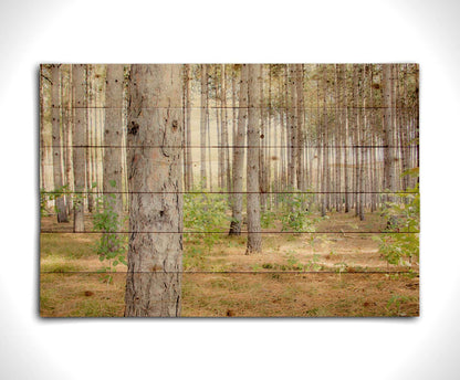 A photograph of a forest of trees, focusing on the warm gray bark. Printed on a wood pallet.