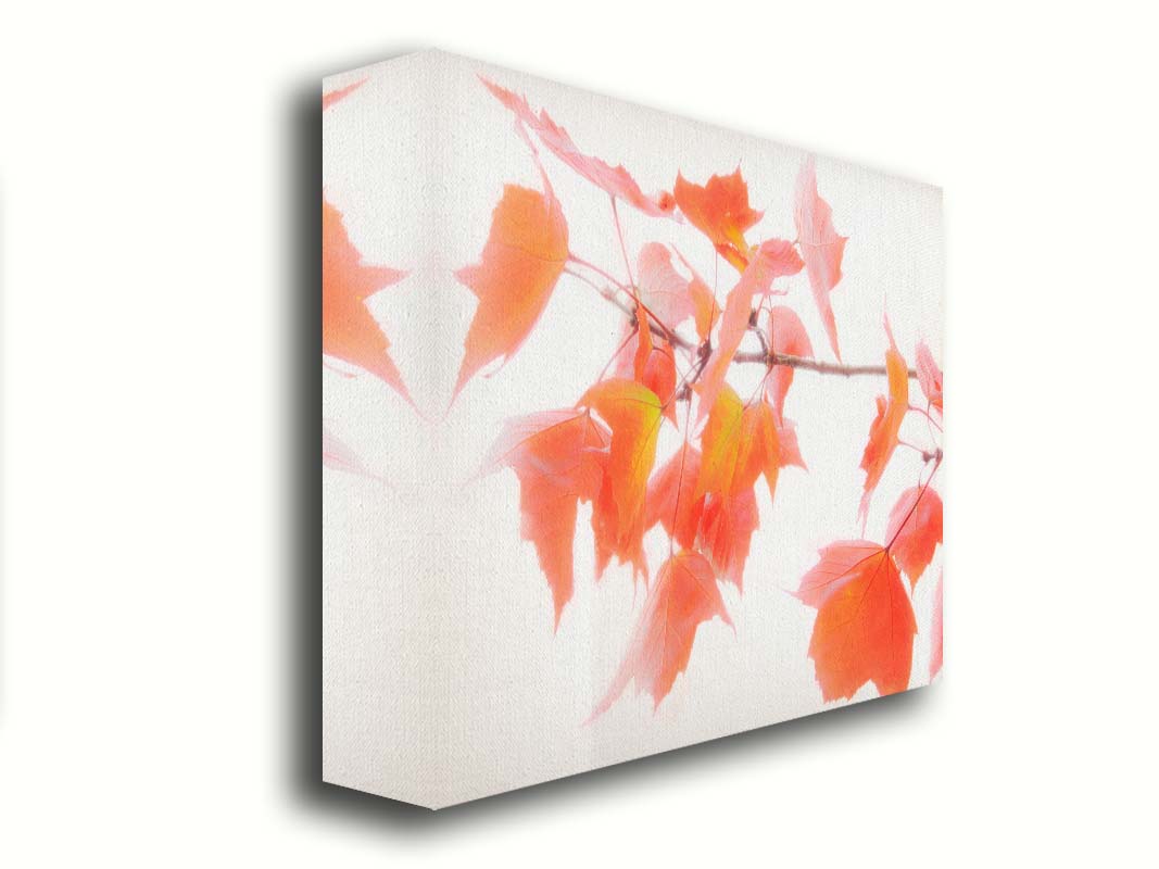 A photo of a twig covered in orange leaves against a bright white background. Printed on canvas.