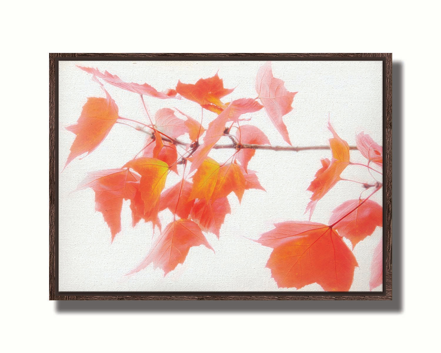 A photo of a twig covered in orange leaves against a bright white background. Printed on canvas in a float frame.