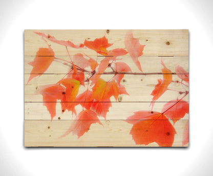 A photo of a twig covered in orange leaves against a bright white background. Printed on a wood pallet.