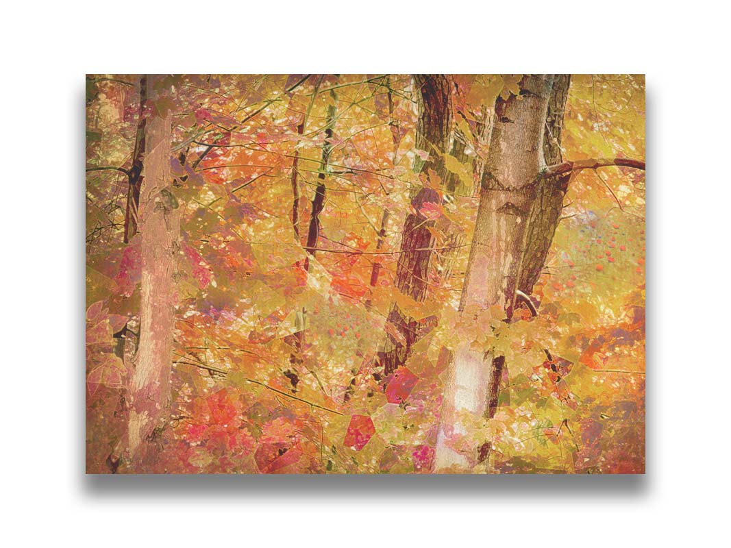 A photo of a forest of trees in fall, edited with a very graphic art style. Printed on canvas.