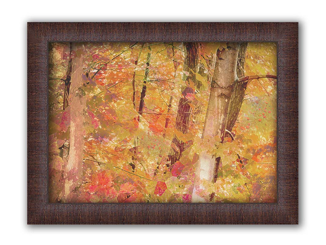 A photo of a forest of trees in fall, edited with a very graphic art style. Printed on canvas and framed.