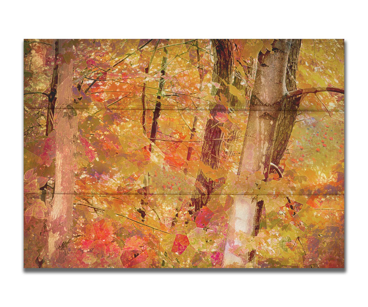 A photo of a forest of trees in fall, edited with a very graphic art style. Printed on a box board.