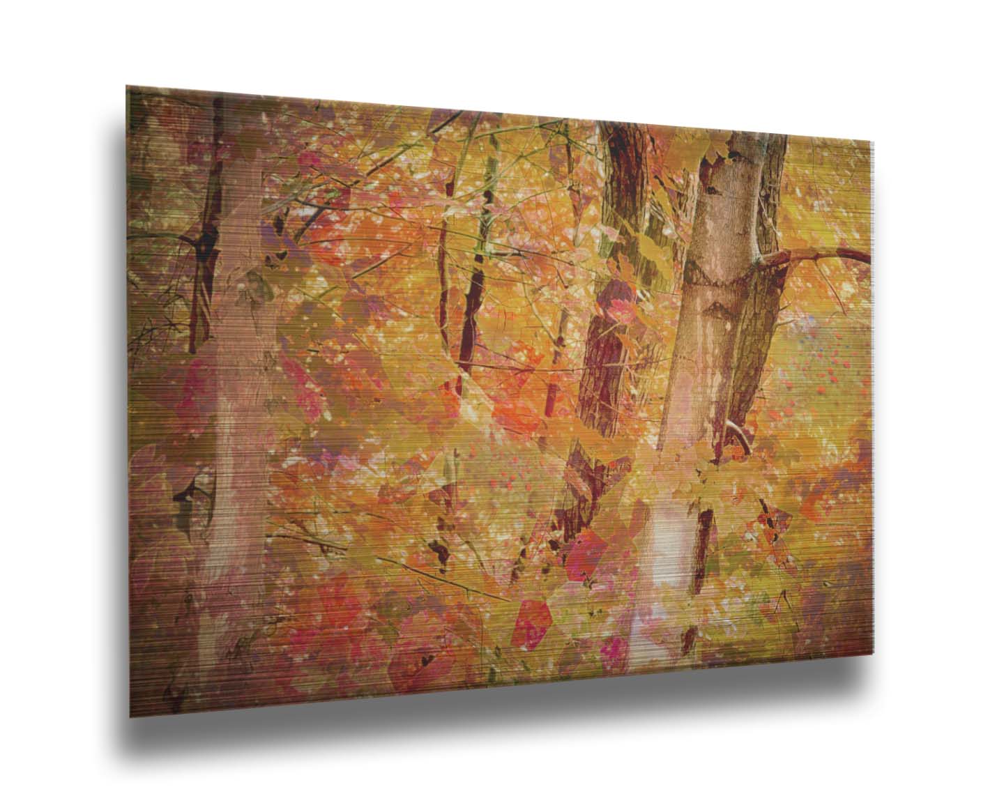 A photo of a forest of trees in fall, edited with a very graphic art style. Printed on metal.