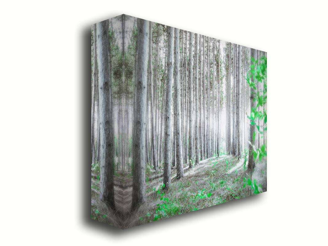 A photo of a forest, looking down lines of tree trunks. The grayscale image is contrasted with pops of selective color, drawing the eye to vibrant green leaves of both the trees and other plants sprouting from below. Printed on canvas.