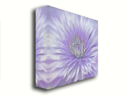 A close-up photo of a clematis flower in purple. Printed on canvas.