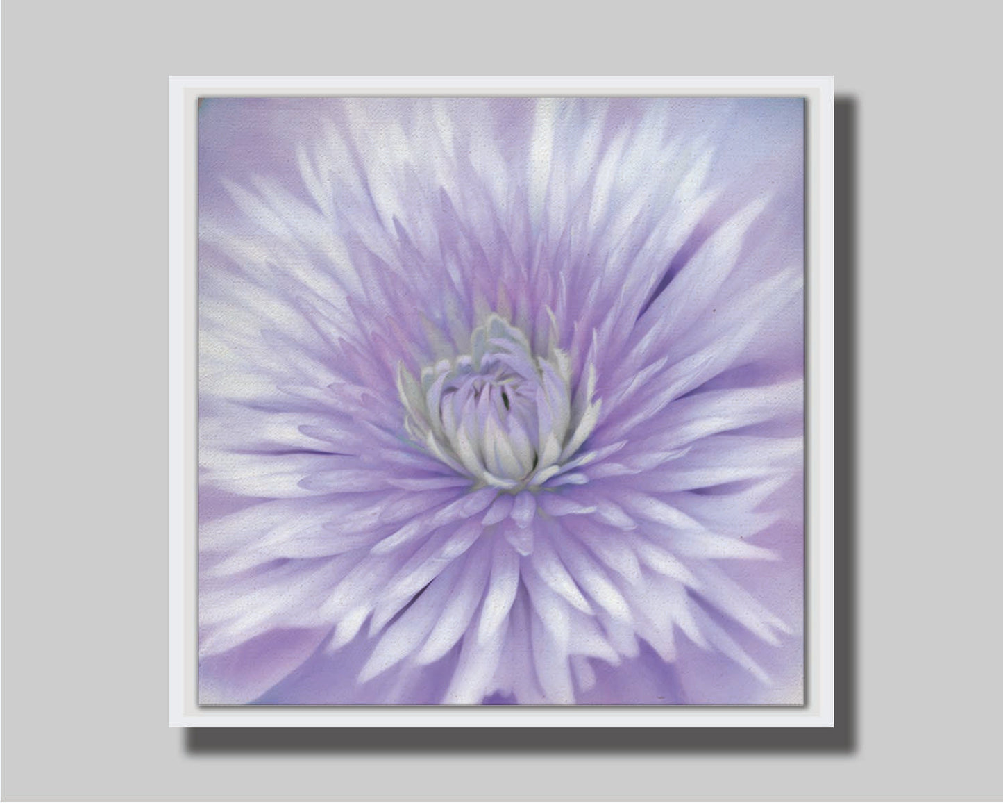 A close-up photo of a clematis flower in purple. Printed on canvas in a float frame.