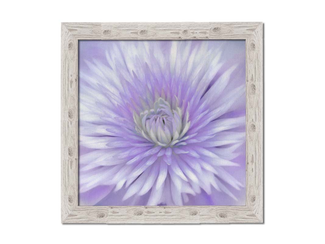 A close-up photo of a clematis flower in purple. Printed on canvas and framed.