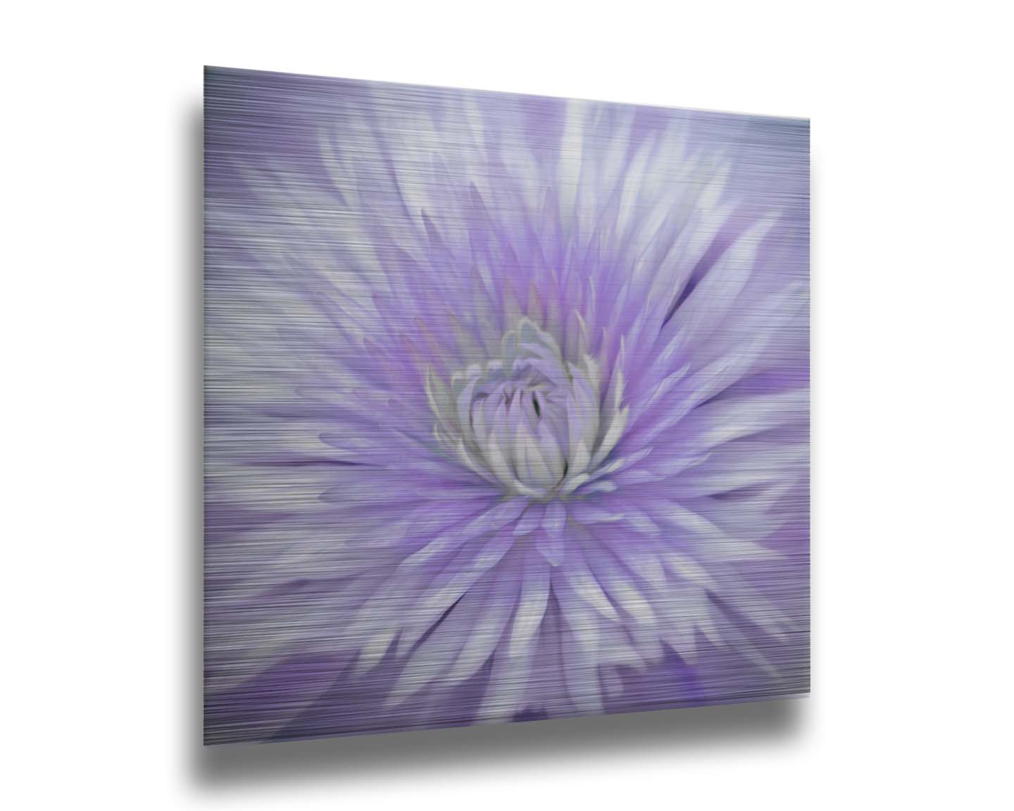 A close-up photo of a clematis flower in purple. Printed on metal.