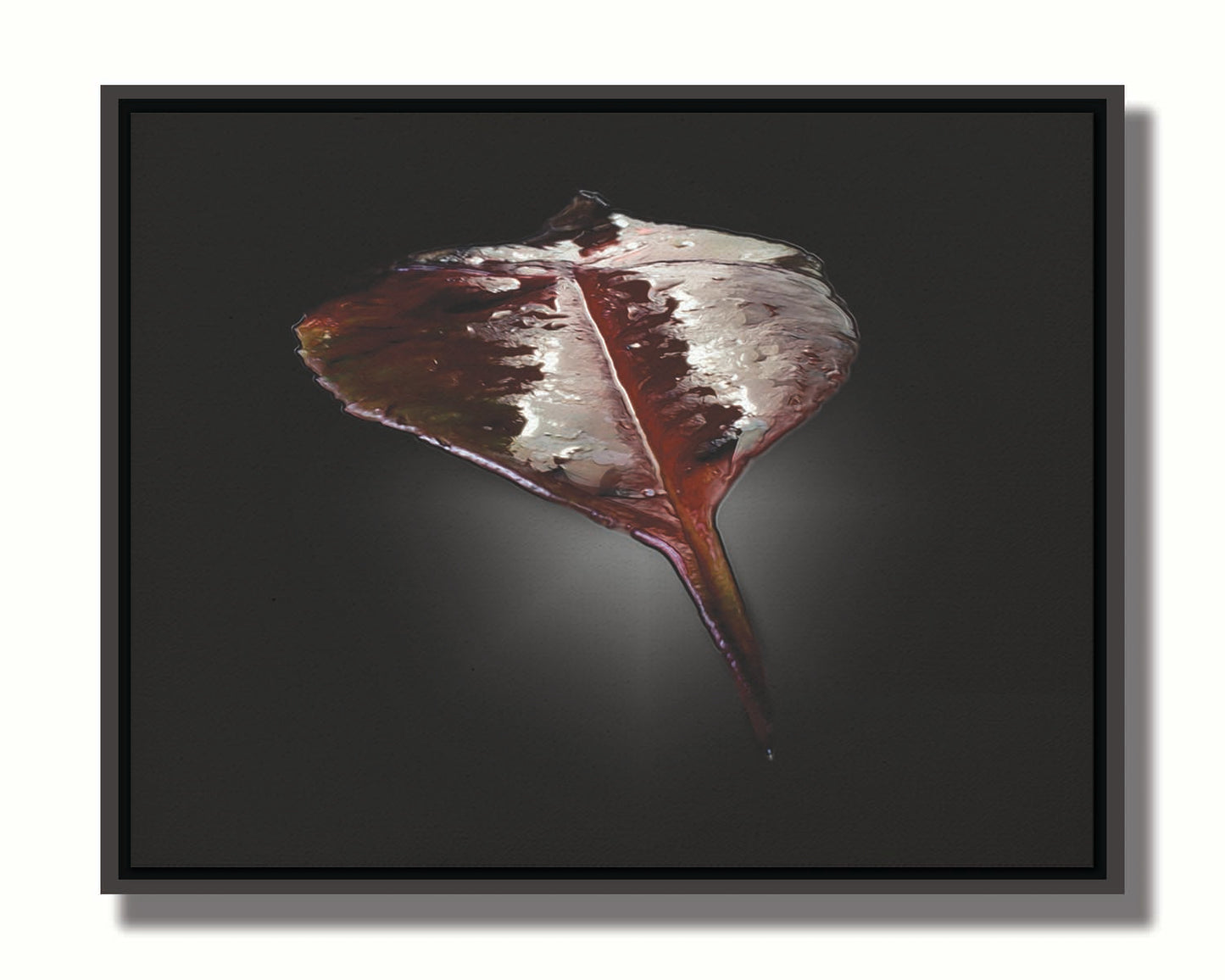 An up-close photo of a red leaf, wet and reflective, isolated on a black background. Printed on canvas in a float frame.