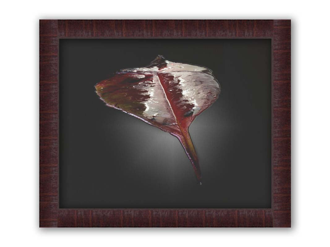 An up-close photo of a red leaf, wet and reflective, isolated on a black background. Printed on canvas and framed.