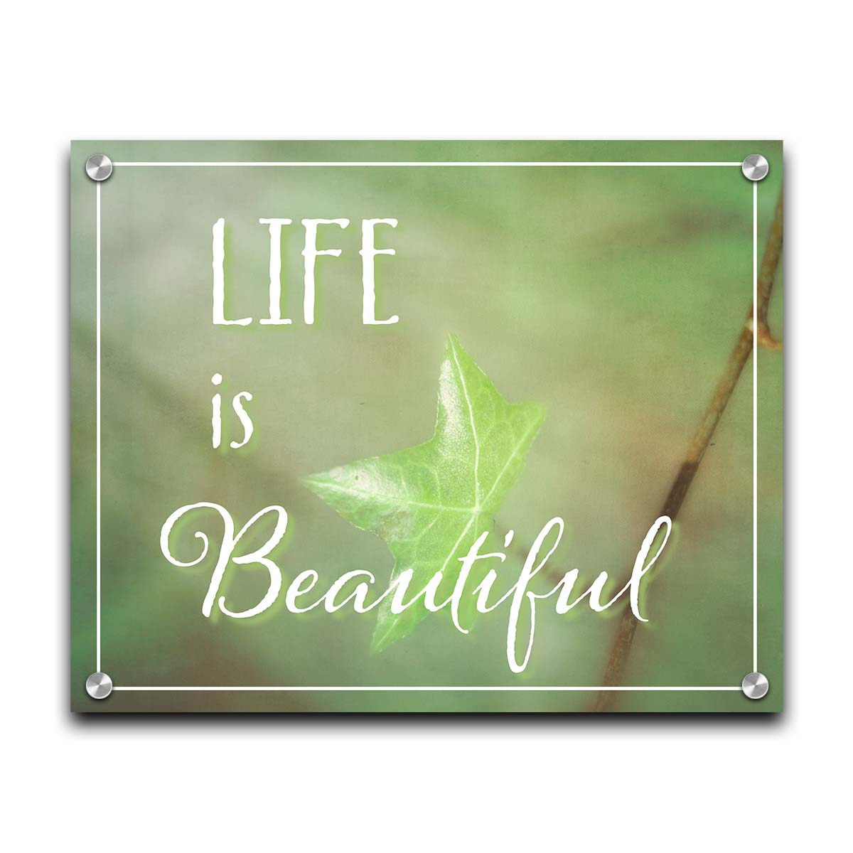 A photograph of a green leaf in soft lighting. The photo is overlaid with white text reading "life is beautiful". Printed on acrylic.