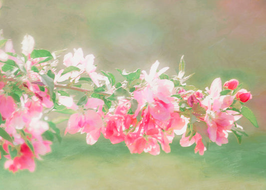 A photo of a pink stem of lilac flowers, the green background blurred in perspective. 