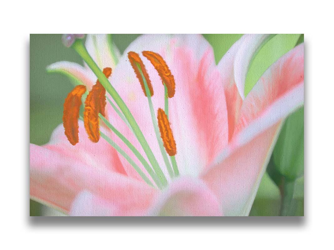 A closeup photo of a pink lily, edited with a painterly quality. Printed on canvas.