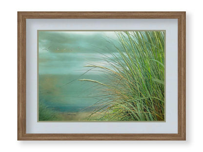 A photo of a tall grass plant on the beach, with the sea and cloudy skies in the background as seagulls fly above. Printed on paper, matted, and framed.