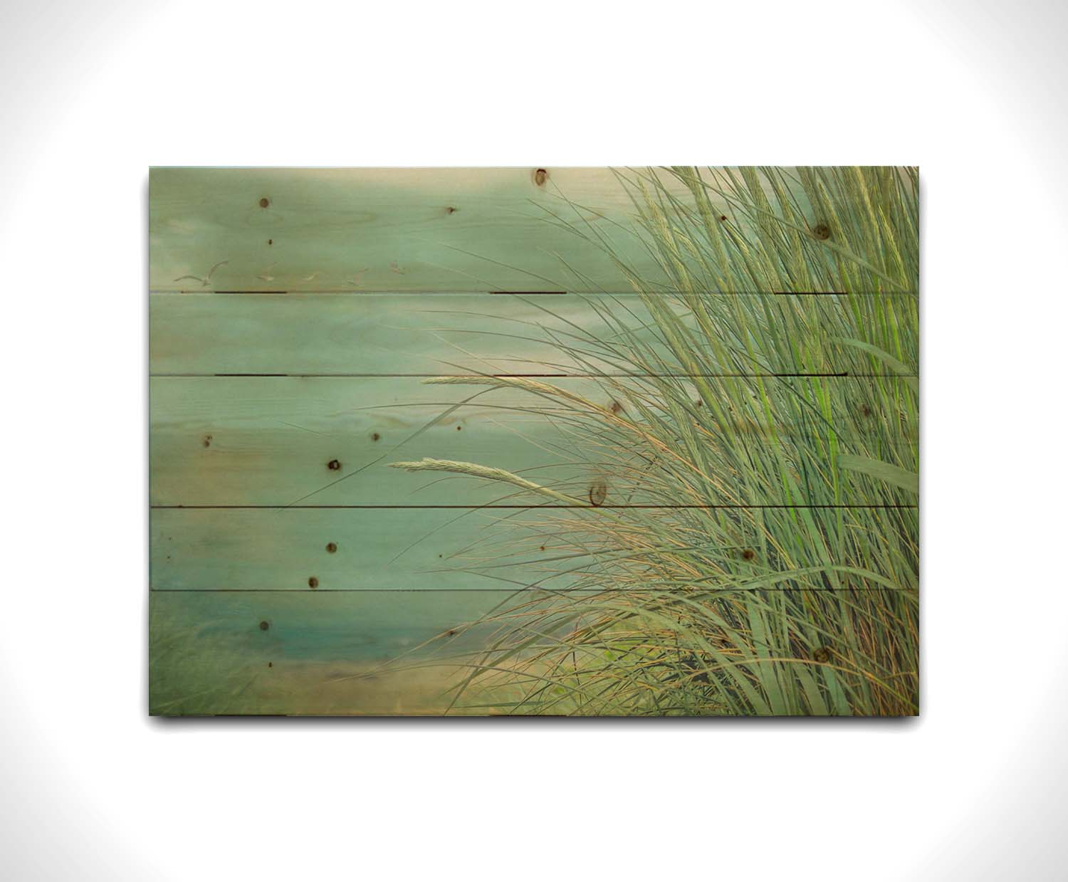 A photo of a tall grass plant on the beach, with the sea and cloudy skies in the background as seagulls fly above. Printed on a wood pallet.