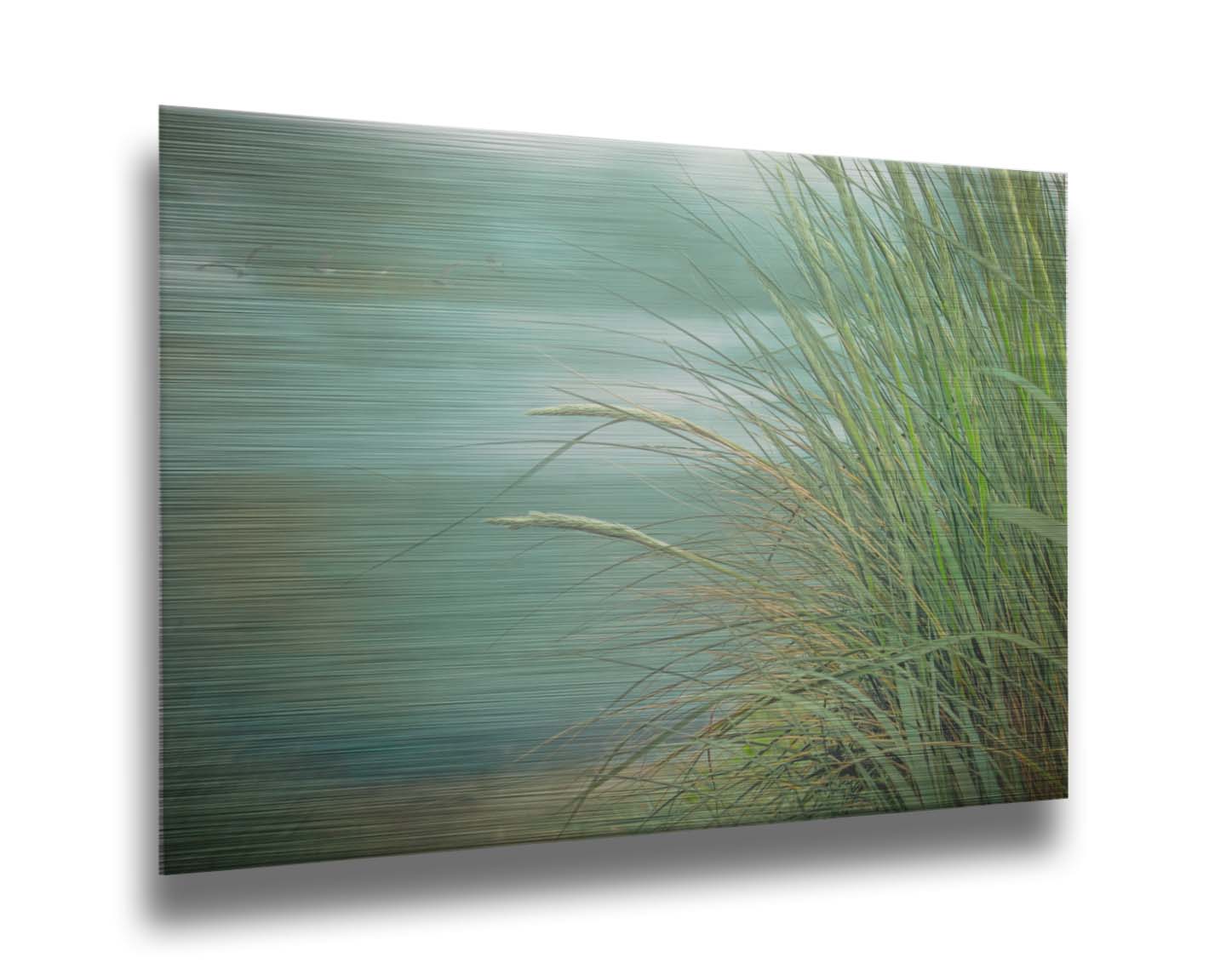 A photo of a tall grass plant on the beach, with the sea and cloudy skies in the background as seagulls fly above. Printed on metal.