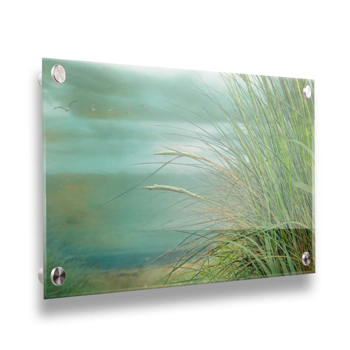 A photo of a tall grass plant on the beach, with the sea and cloudy skies in the background as seagulls fly above. Printed on acrylic.