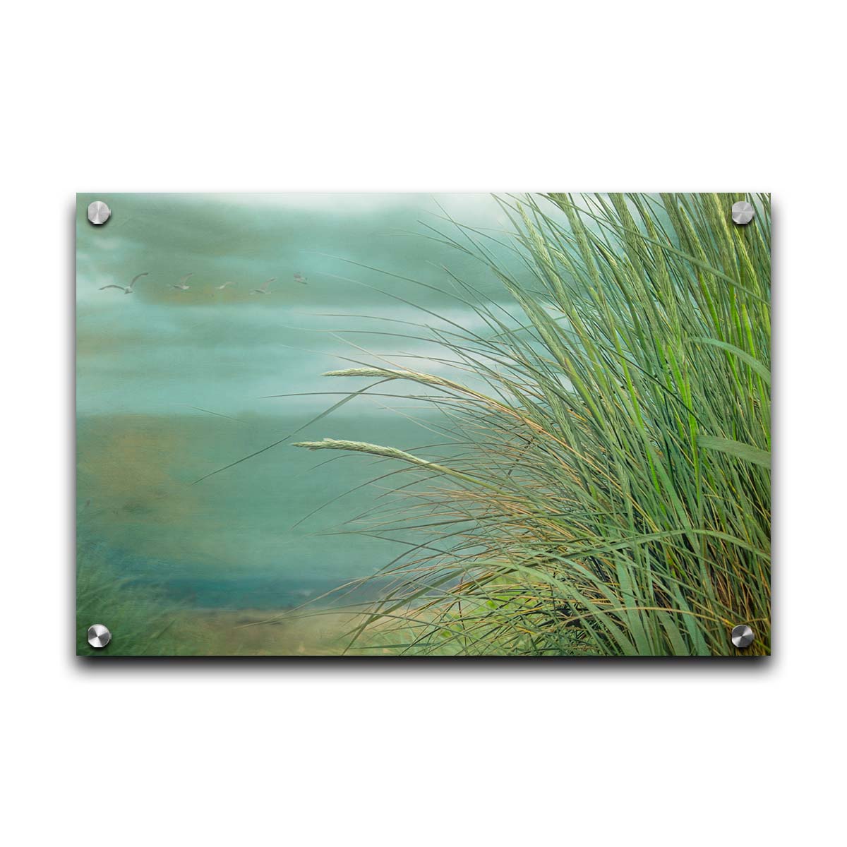 A photo of a tall grass plant on the beach, with the sea and cloudy skies in the background as seagulls fly above. Printed on acrylic.