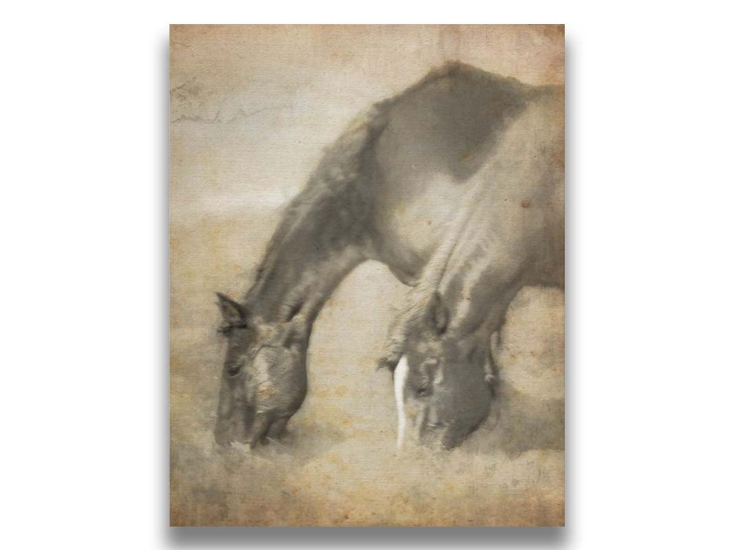 A sepia photo of two horses grazing, overlayed with weathered and stained textures. Printed on canvas.