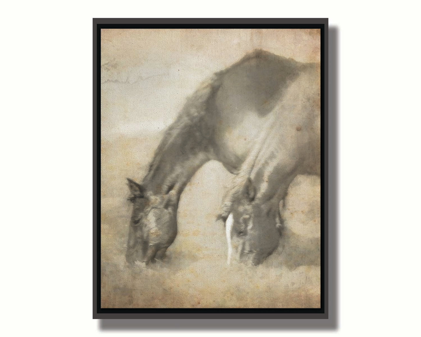 A sepia photo of two horses grazing, overlayed with weathered and stained textures. Printed on canvas in a float frame.