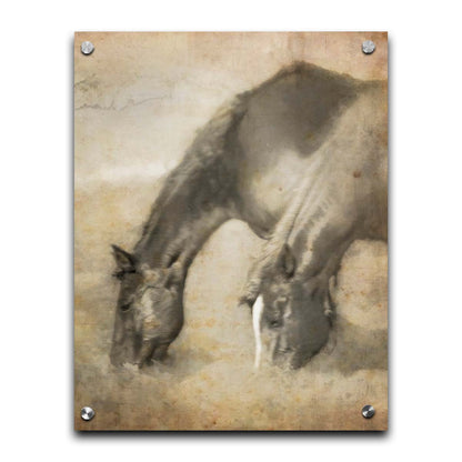 A sepia photo of two horses grazing, overlayed with weathered and stained textures. Printed on acrylic.