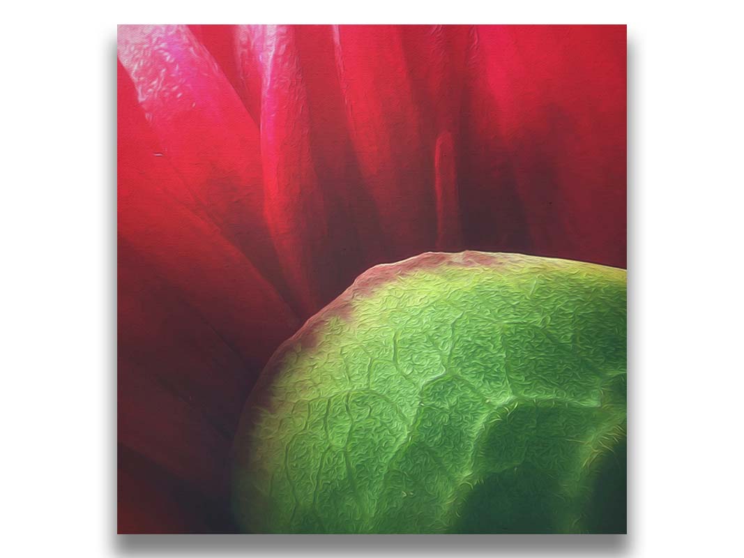 A macro photograph of a flower's red petals. Printed on canvas.