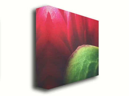 A macro photograph of a flower's red petals. Printed on canvas.