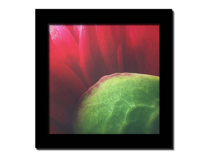 A macro photograph of a flower's red petals. Printed on canvas and framed.