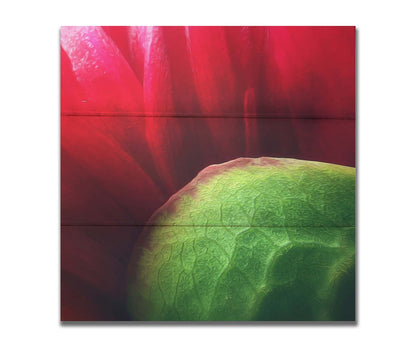 A macro photograph of a flower's red petals. Printed on a box board.