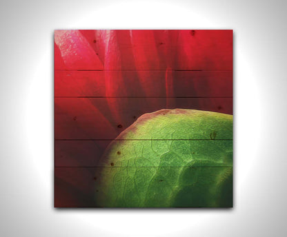 A macro photograph of a flower's red petals. Printed on a wood pallet.