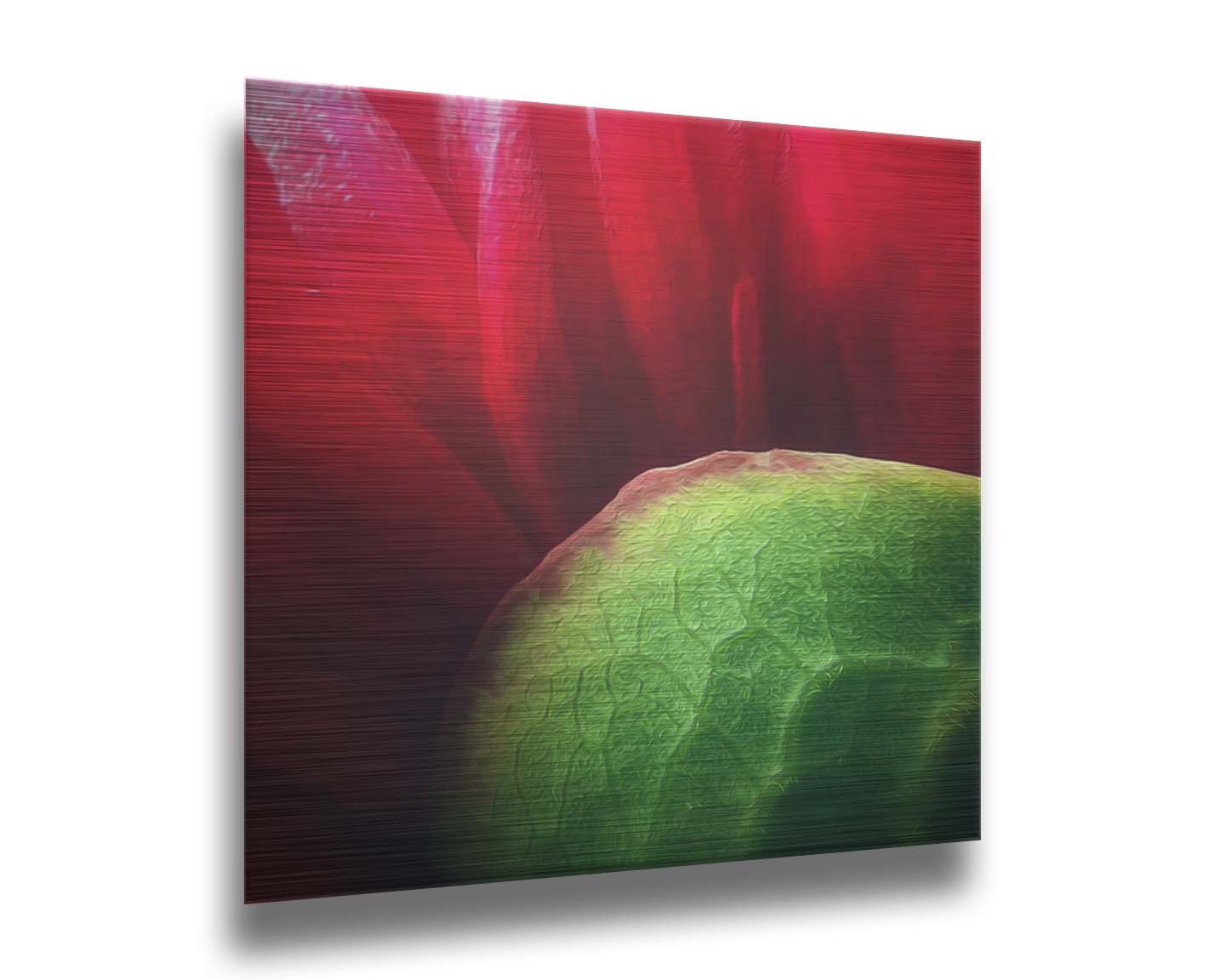 A macro photograph of a flower's red petals. Printed on metal.