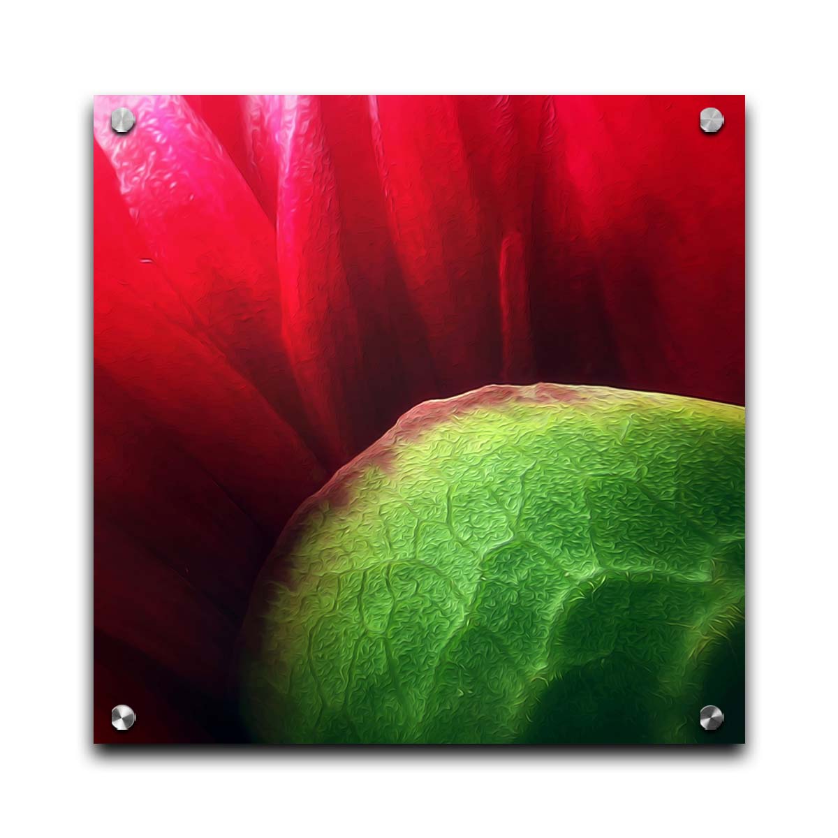 A macro photograph of a flower's red petals. Printed on acrylic.