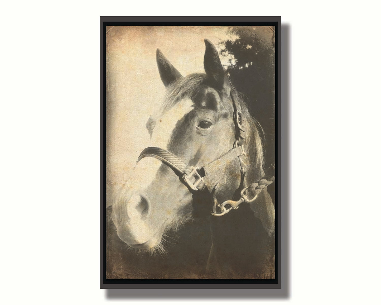 A portrait photo of a horse, taken in black and white and overlayed with brown wear and stain textures. Printed on canvas in a float frame.