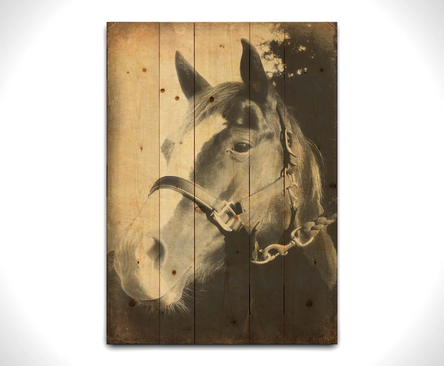 A portrait photo of a horse, taken in black and white and overlayed with brown wear and stain textures. Printed on a wood pallet.