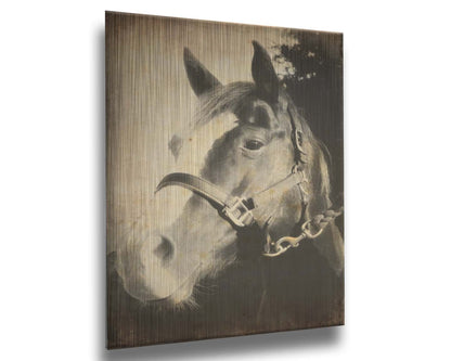 A portrait photo of a horse, taken in black and white and overlayed with brown wear and stain textures. Printed on metal.