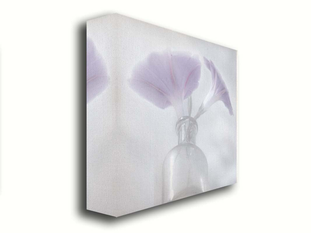 A close-up photo of pale purple morning glory flowers in a small glass vase with a white backdrop. Printed on canvas.