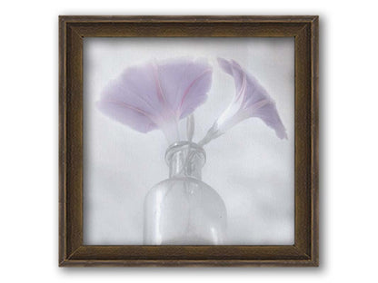 A close-up photo of pale purple morning glory flowers in a small glass vase with a white backdrop. Printed on canvas and framed.