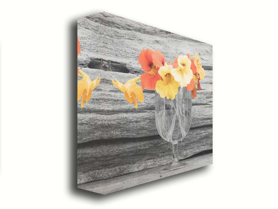 A grayscale photograph of a cup of water holding nasturtiums, against a wood wall. There is only one pop of color through the orange and yellow flower petals. Printed on canvas.