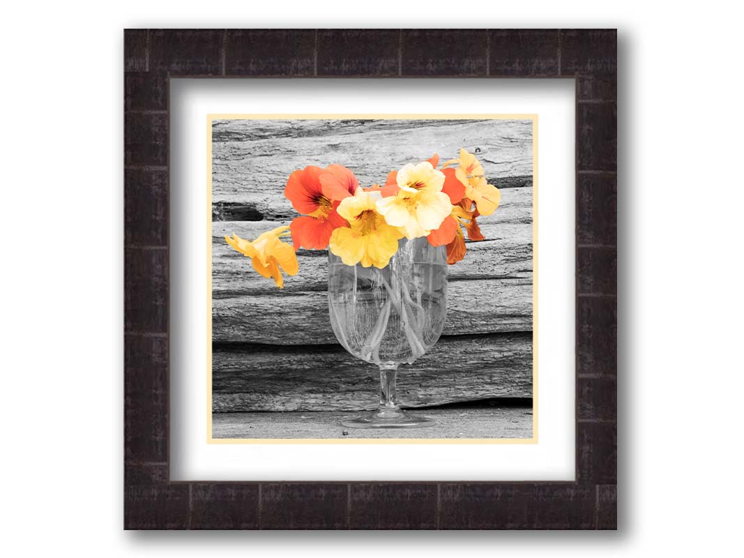 A grayscale photograph of a cup of water holding nasturtiums, against a wood wall. There is only one pop of color through the orange and yellow flower petals. Printed on paper, matted, and framed.