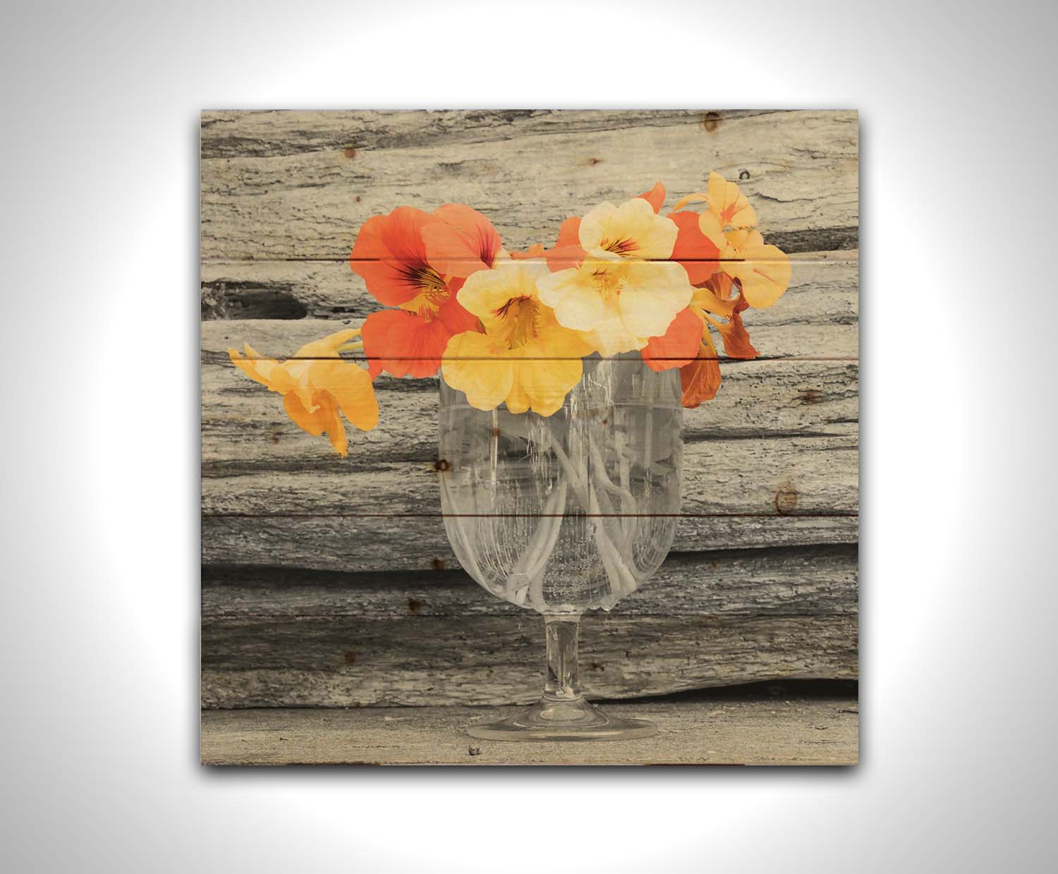 A grayscale photograph of a cup of water holding nasturtiums, against a wood wall. There is only one pop of color through the orange and yellow flower petals. Printed on a wood pallet.