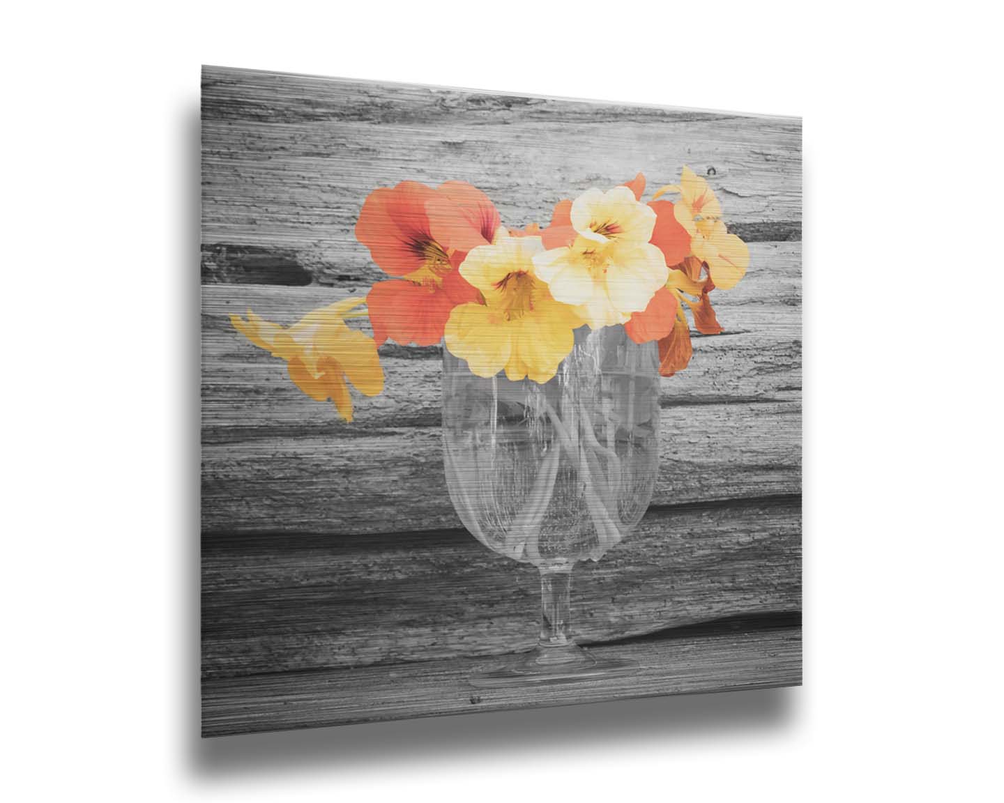 A grayscale photograph of a cup of water holding nasturtiums, against a wood wall. There is only one pop of color through the orange and yellow flower petals. Printed on metal.