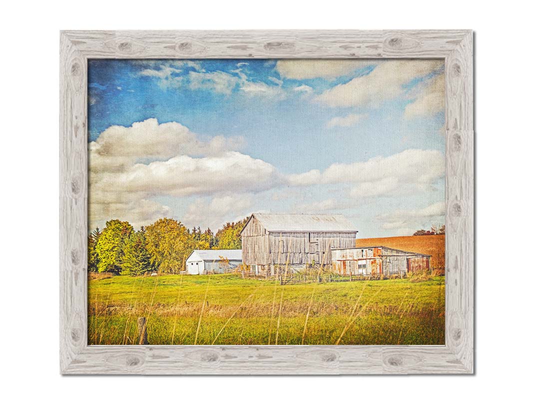 A photo of several barns, their associated pastures, and fields. The early signs of fall are present in the steadily changing leaves and crops. The sky above is wide, blue, and populated with fluffy clouds. Printed on canvas and framed.