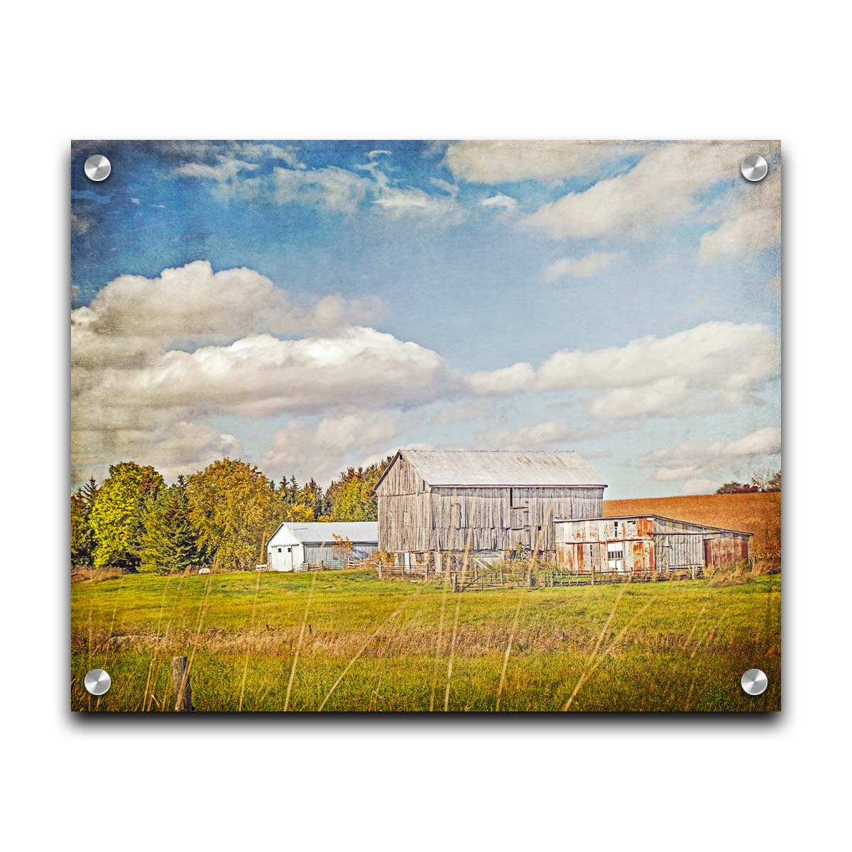 A photo of several barns, their associated pastures, and fields. The early signs of fall are present in the steadily changing leaves and crops. The sky above is wide, blue, and populated with fluffy clouds. Printed on acrylic.